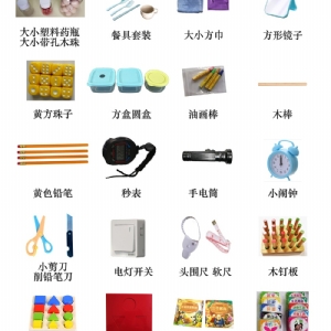 BSID貝利嬰幼兒發(fā)展量表Bayley工具箱包